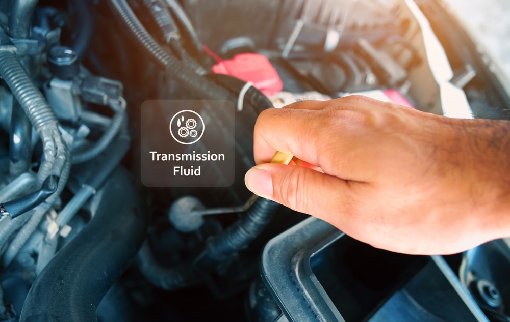 VW Transmission Fluid